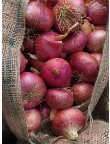 Organic Natural Red Onion, Quality Available : B Grade