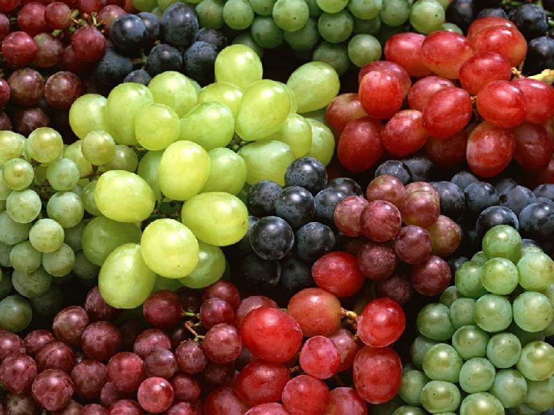 Organic fresh grapes, Shelf Life : 7-10days
