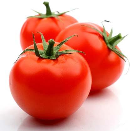 Organic fresh tomato, Packaging Type : Jute Bag, Net Bag, Plastic Crates