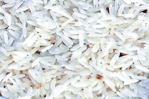 Organic Sharbati Non Basmati Rice, for Gluten Free, High In Protein, Packaging Type : Jute Bags, Loose Packing