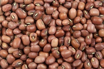 Organic Turkish Gram, Color : Brown