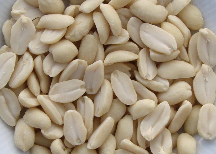 Blanched Peanuts, for Direct Consumption, Home, Industrial, Restaurant, Feature : Fine Taste, Long Shelf Life