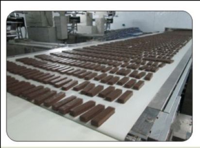 Industrial Food Grade Conveyor Belt at Best Price in Dharuhera | Balaji ...