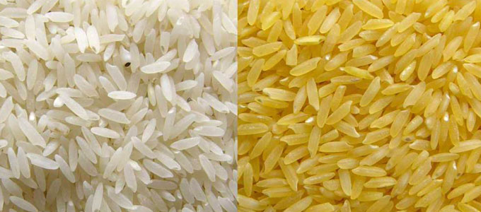 Natural Parmal Sella Rice, for Cooking, Feature : Gluten Free