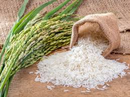 Basmati rice, Color : White, Brown