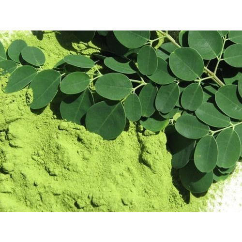 100% Pure Moringa Leaves Powder