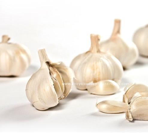 Garlic, Shelf Life : 6months, 9months