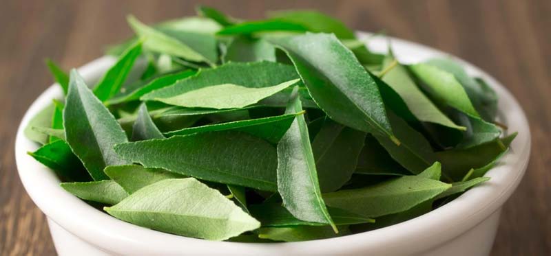 Organic Curry Leaves