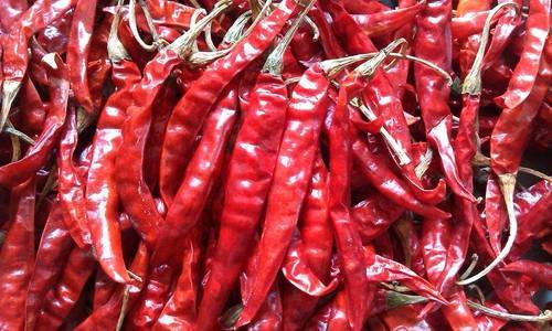 Organic Stemmed Dried Red Chilli