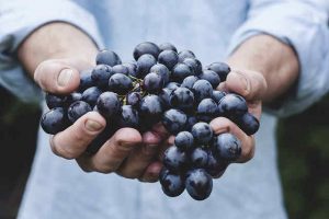 Organic Fresh Grapes, Color : Black