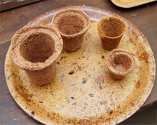 Coconut Coir Seed Germination cups