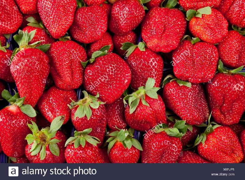 Fresh Red Strawberry, for Enhance The Flavour, Human Consumption, Feature : High Nutrition Value