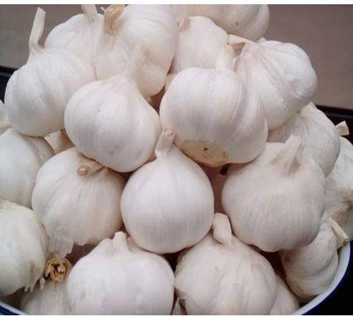 Fresh Whole Garlic, for Cooking, Feature : High Nutrition Value