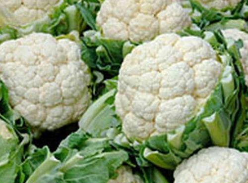 Organic Cauliflower