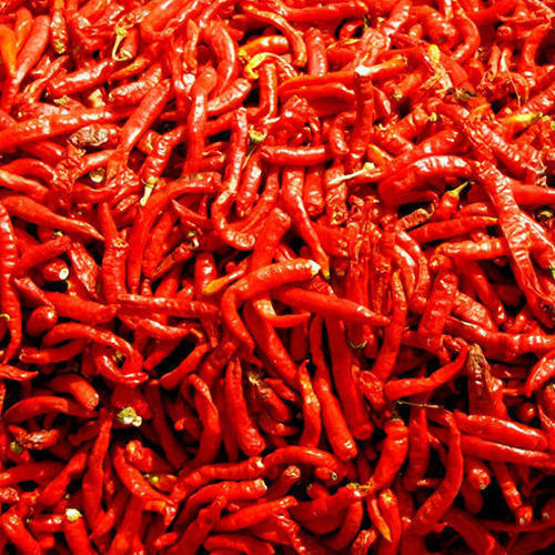 Organic Red Chilli, for Food, Making Pickles, Taste : Spicy