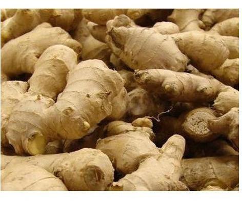 Raw Fresh Ginger, for Cooking, Feature : High Nutrition Value