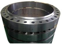 Stainless Steel Girth Flange