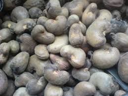 African Raw Cashew Nut