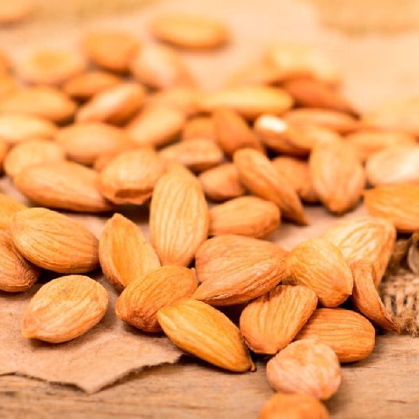 Bitter Apricot Kernel