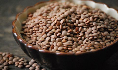 Brown Lentil