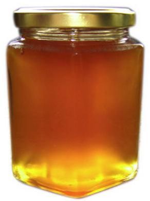 eucalyptus honey