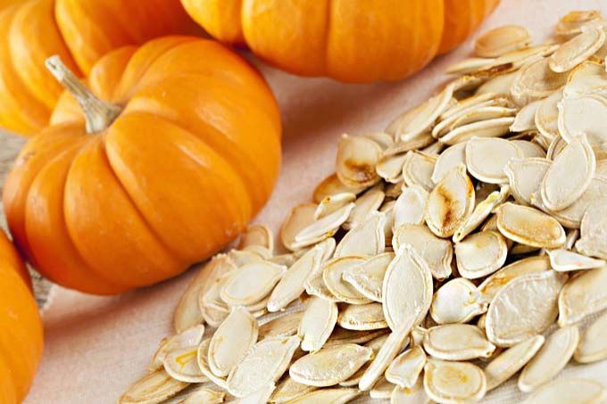 Fresh Pumpkin Seeds Exporters in Sandton South Africa by Netro ...