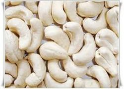 Raw Cashew Nuts