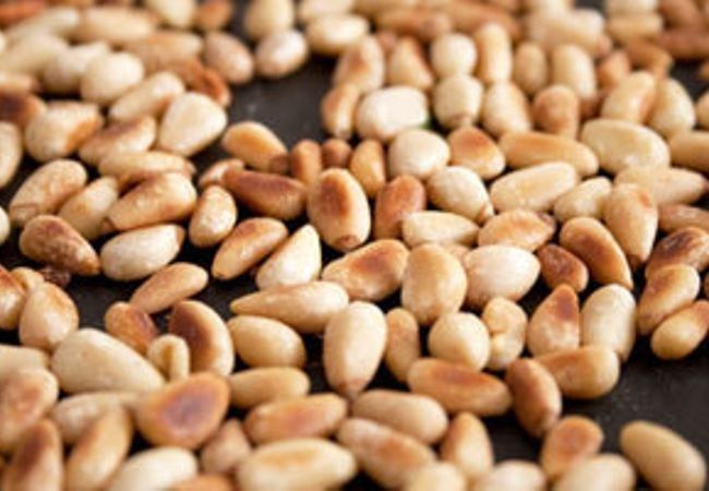Raw Pine Nut Kernels