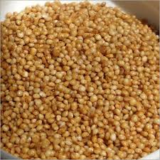 Barnyard Millet Seeds, for Cattle Feed