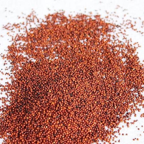 finger millet seeds