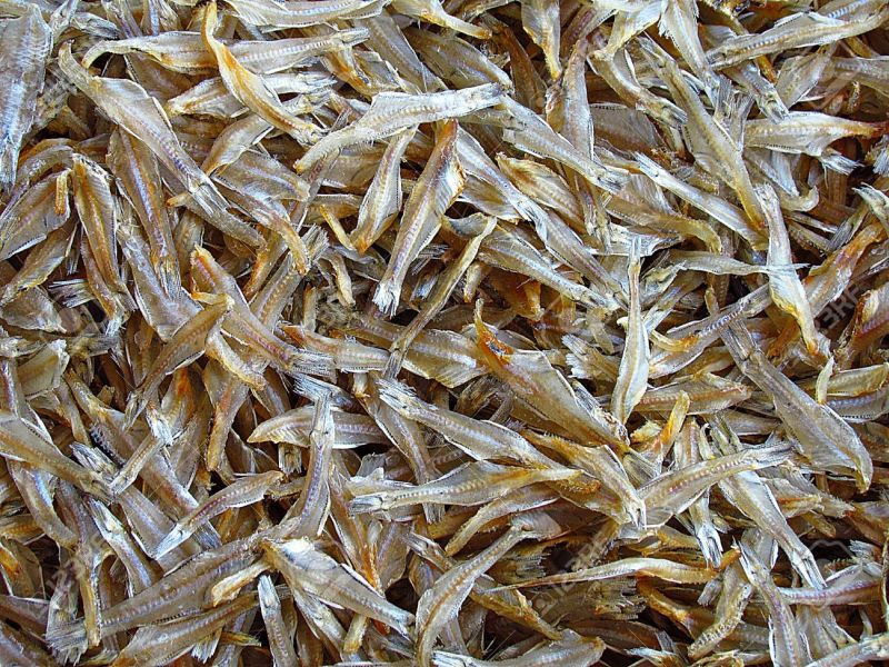 dried-fish-exporters-in-kolkata-west-bengal-india-by-saanvi-overseas