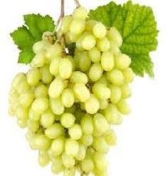 fresh green grapes