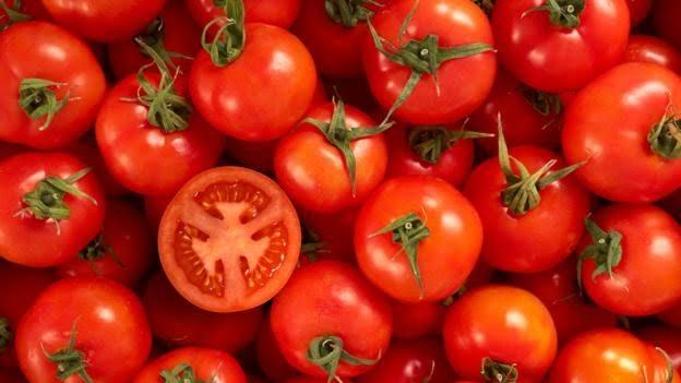vegetable Tomato