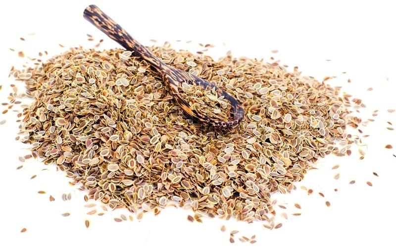 Dried Fennel Seeds