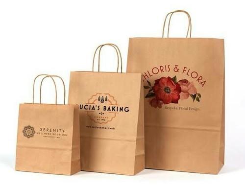 Printed Paper Bag, for Shopping Use, Feature : Durable, Eco Friendly