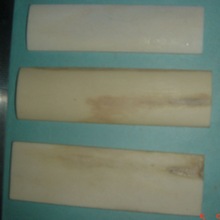 Organic Material Blocks Horn Plates