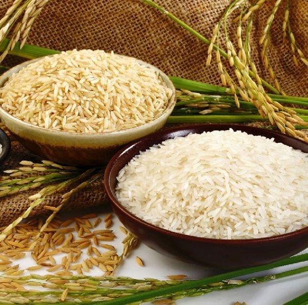 Sona Masoori Steam Rice, for Cooking