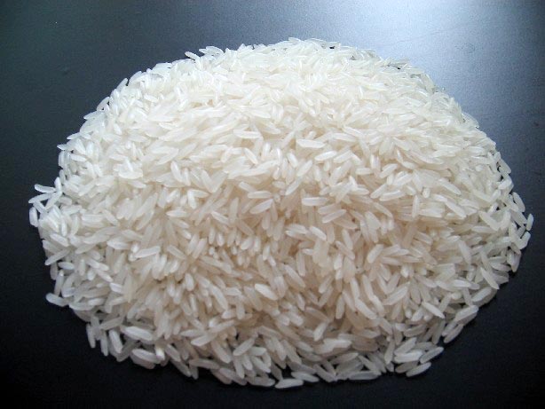 Hard Common 1509 Basmati Rice, Variety : Long Grain