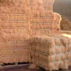 Palm Fiber, For Biomass Boilers