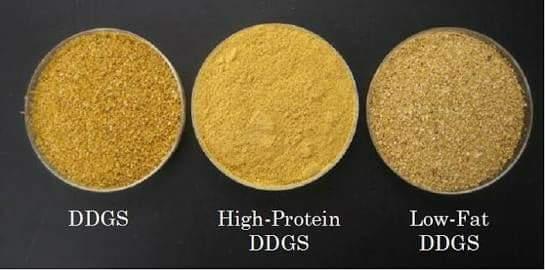 Distillers Dried Grain with Soluble, Packaging Type : PP bag