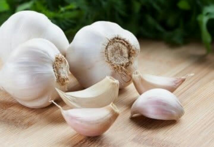 Fresh garlic, Packaging Type : Gunny Bags, Net Bags, Plastic Bags