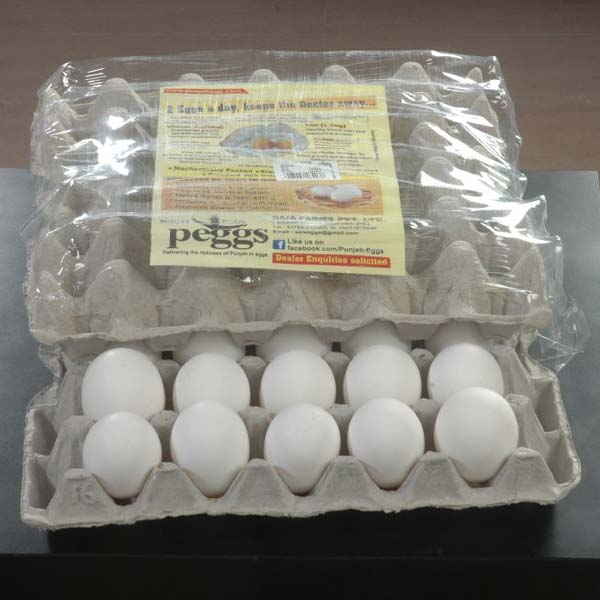 Poultry Eggs