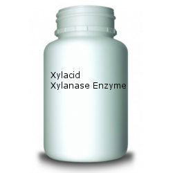 Xylanase Enzyme
