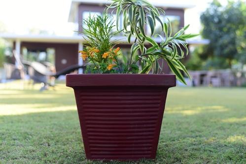 Square Plastic Planters