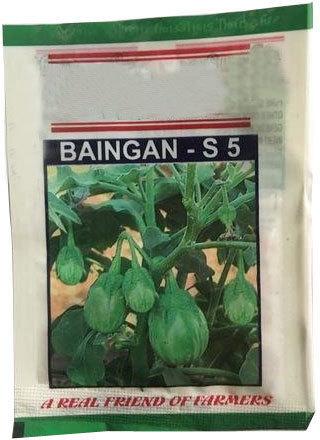 Brinjal Seeds, Packaging Size : 1 Kg