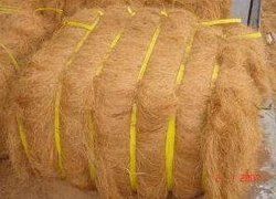 Palm Fiber, For Biomass Boilers, Feature : Abrasion-Resistant, Anti-Distortion, Anti-Microbial, Anti-Pilling
