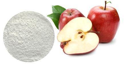 Common Apple Extract Powder, Packaging Size : 10kg, 50kg, 5kg
