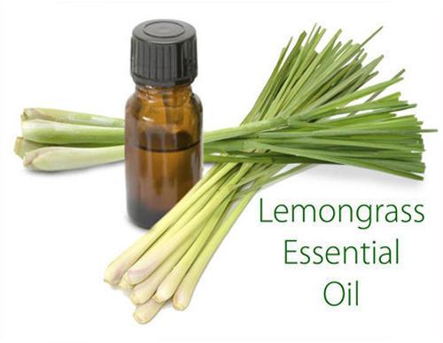 Common lemongrass essential oil, for Cosmetics Products, Flavouring Tea, Packaging Type : Glass Bottels