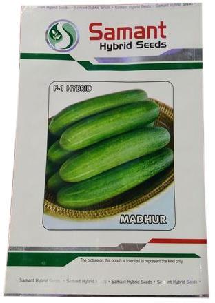 Madhur Cucumber Seeds