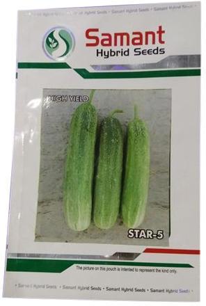 Star-5 Cucumber Seeds, Packaging Size : 50 gm
